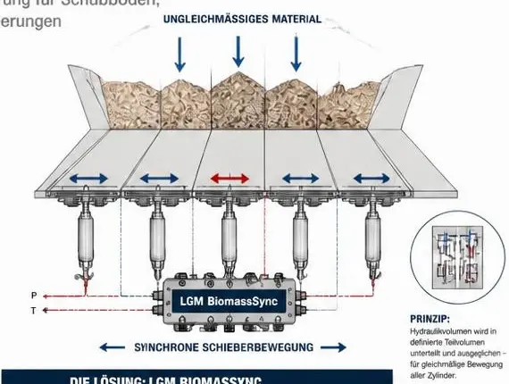 LGM Biomass Sync